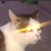 אני אוהב אותך (@a7k03kmzau) Twitter profile photo אני אוהב אותך (@a7k03kmzau) Twitter profile photo