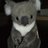 toyokoala