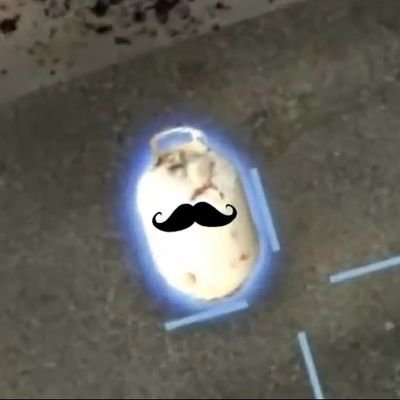 Jsvgeoskr72's profile picture. 