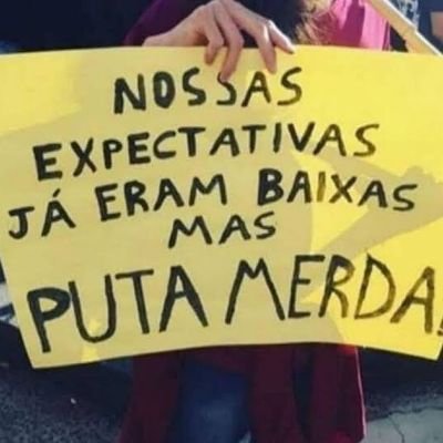 nppgomes's profile picture. #VacinaSalvaBolsonaroNão