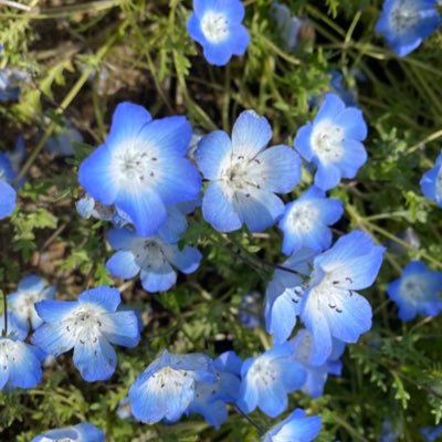 Willow_love0311's profile picture. 子育て中心に呟くママ垢です🌸 都内在住、医療職です。約2年間PCOSのため不妊治療→奇跡的に自然妊娠→2022.3.11に誘発分娩にて男の子👦出産✨周りに子育ての話できる友人知人がいないため、同じママ垢さん達と繋がれればなと思ってます🌸