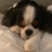 Just trying to nap (@tradtke) Twitter profile photo Just trying to nap (@tradtke) Twitter profile photo
