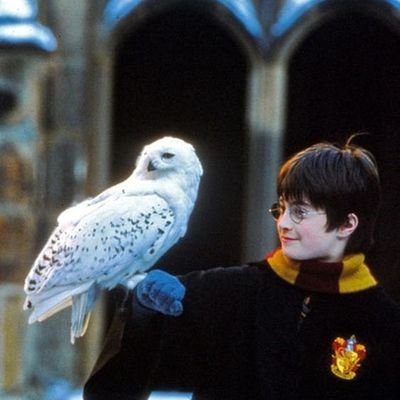 WGPOLwzCgEaWKqu's profile picture. ろむ 20↑