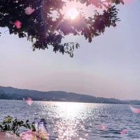 عاشق هلالي 💙 (@tkil_) Twitter profile photo