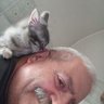 ToninoBoncompa1's profile picture. Victoria Nobis Vita