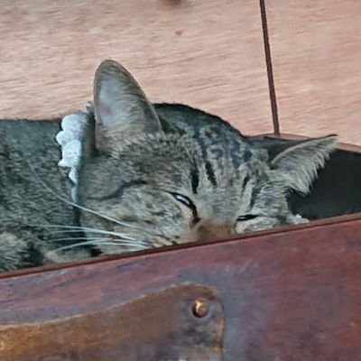 oksm_j's profile picture. 行きたい現場に行けたらいいなって感じの人です🌪️
百名ヒロキさん辰巳雄大さん(ふぉ〜ゆ〜)