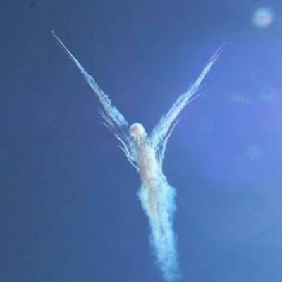 itabashinomura's profile picture. 板橋生まれ板橋育ち
ヘラブナ釣り 見次公園に出没