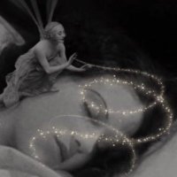Angel (@angelwef) 's Twitter Profile