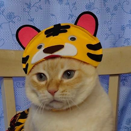 goose0601's profile picture. 