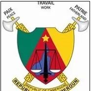 MINDDEVEL1's profile picture. 