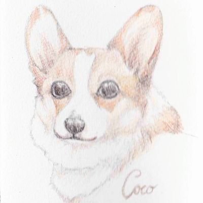 yuzuco🍞コーギーイラスト🐶🎨さんのプロフィール画像