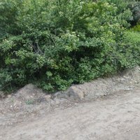 isim önemli değil (@volkana96868838) Twitter profile photo