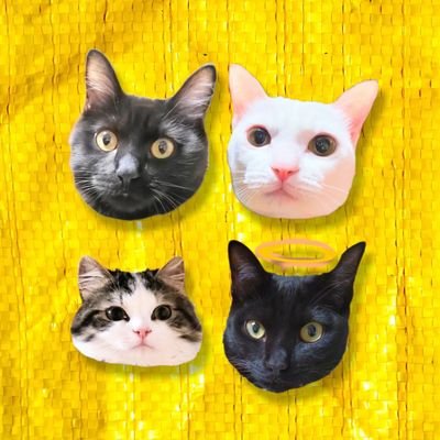 neko3222's profile picture. 3匹の 猫と暮らしている主婦😊
3月に大事な猫さんを亡くしましたが
心機一転よろしくお願いします🙏
 #猫がいる暮らし
#猫好きさんと繋がりたい
Amazonアソシエイト参加中です