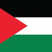 amoona shaher (@amoonashaher) Twitter profile photo