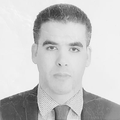 MARDAOUIRafie's profile picture.