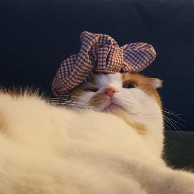 a22222980's profile picture. ɴᴏʙᴏᴅʏ ᴋɴᴏᴡs ///－///