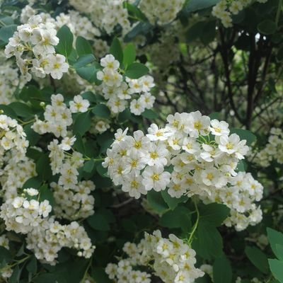 GabriVelle's profile picture. 1 jour 1 poème. 
Dm ouverts pour contributions, anonyme ou non