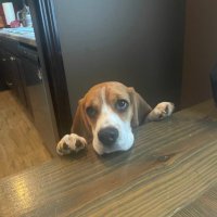 Will Hatchett (@will_hatchett) 's Twitter Profile