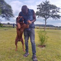 Joe Makono Shumba (@joe_makono) 's Twitter Profile