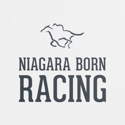 Stable: Niagara Born Racing

Genesis 🐴: I Am Baymax
Discord | Mikey Diamonds#0605