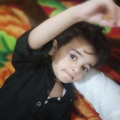 यह देश सभी का है
सब कुछ लुटा के होश मे आए तो क्या आए!!!!