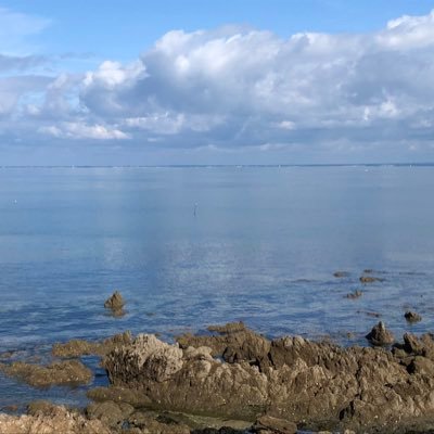 valoumanscourt's profile picture.