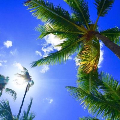 JHL6d9UUBEavVw6's profile picture. 