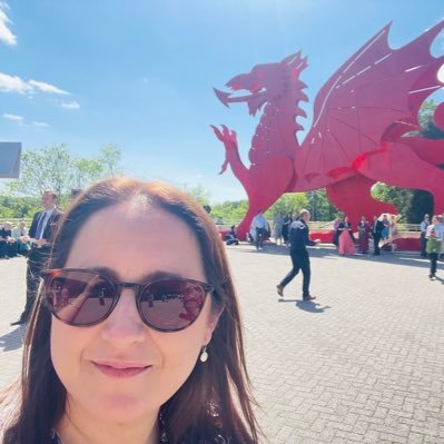 T1D supporter 📣 Welsh learner 🏴󠁧󠁢󠁷󠁬󠁳󠁿 (She/her)