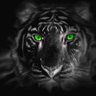 KanVasya's profile picture. 
