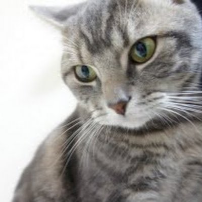 pyun000's profile picture. 