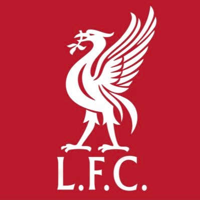 thelfcfanchat Profile Picture