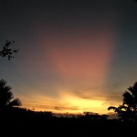 Swarna (@swarnahati) 's Twitter Profile Photo