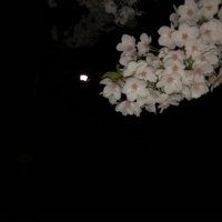ero (@blec042) 's Twitter Profile