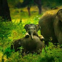 Fuad (@fuad9510) 's Twitter Profile