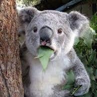 mariosolis25's profile picture. Intento de escritor, melómano y anti-mayonesa.