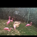 Sandy Enriquez - @Sandizzle1 - Twitter