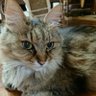 BRASS_DANCE's profile picture. 推し活用アカです。
現在、地方で看護師として勤務中。
推しの笑顔で元気をいただき、吹奏楽（管弦楽）やアンサンブルの楽器のハーモニーで心を落ち着かせています。中学時HORN吹いてました。

無言フォローすることがありますが、すみません。
ですが、推し活に関係のない方の無言フォローはブロックします。