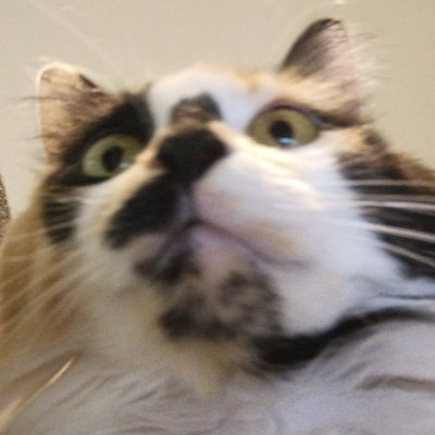 BobrikSantiago's profile picture. Software Developer