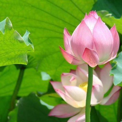 数码业务
