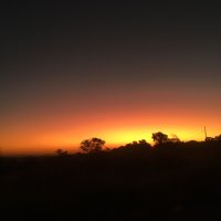 Naévia (@naeviaaa) 's Twitter Profile