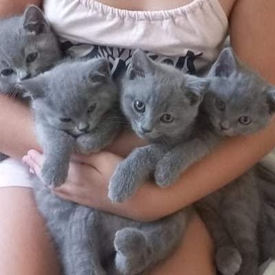 AtanaskaBoikova's profile picture. 