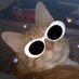 Catrick Swayze (evil type) (@catrick328) Twitter profile photo