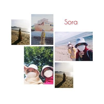 Visit Sora Profile