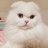 陽のアイコン