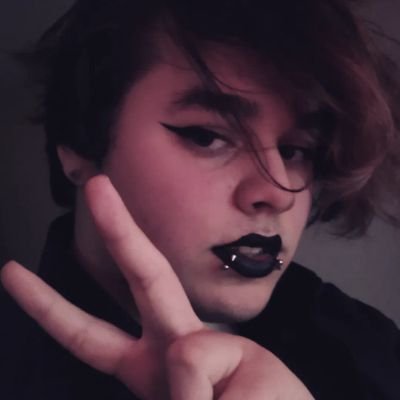 Hi, I'm FOXGLUVS! (she/they)
I write songs about flowers and animals :))