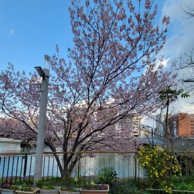 TQzw0cNDw3BpNfS's profile picture. 仙台から全国飛び回ってるアラフォー🛫
美容、旅、野球観戦も好き😍