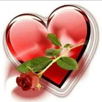 جناات 🍃🌻 (@jna2at) 's Twitter Profile