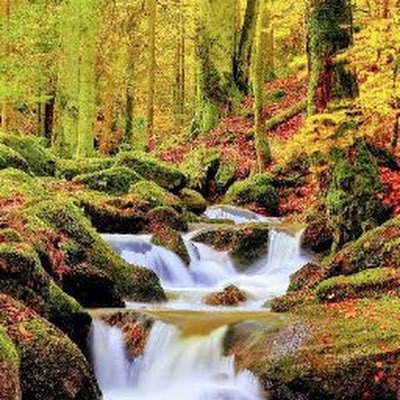 ODawse's profile picture. Étudiant