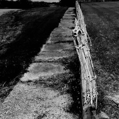 wind_wind6's profile picture. 