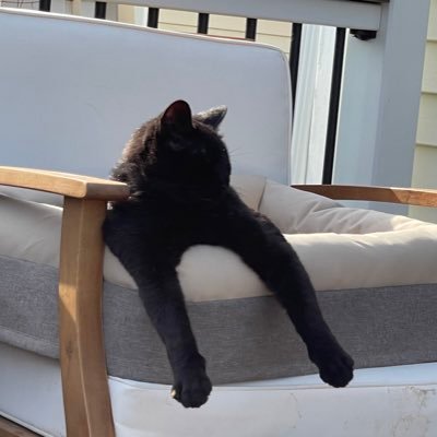 SportyGeekGirl's profile picture. QA Engineer also @sballalien